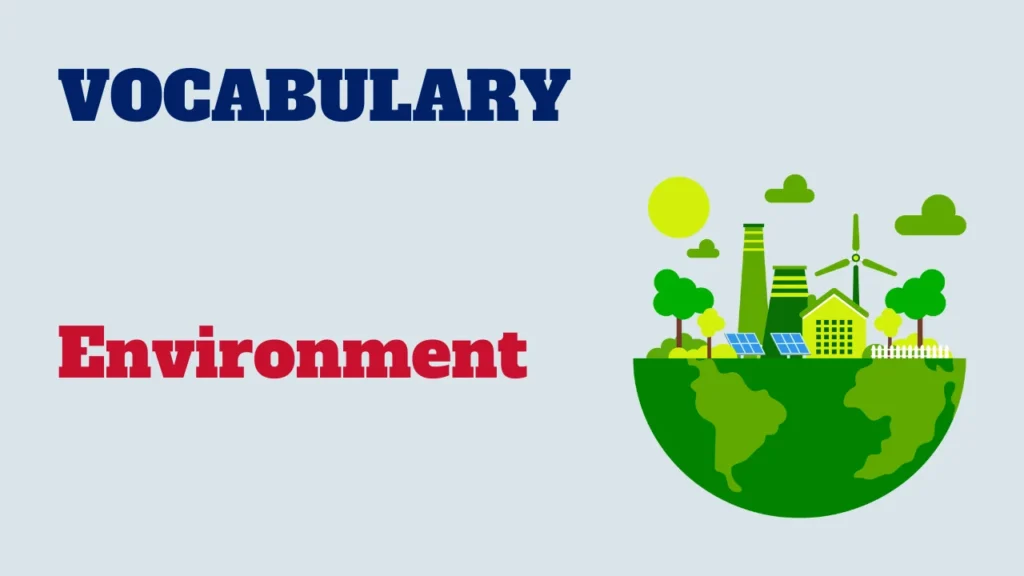 Vocabulary - environment