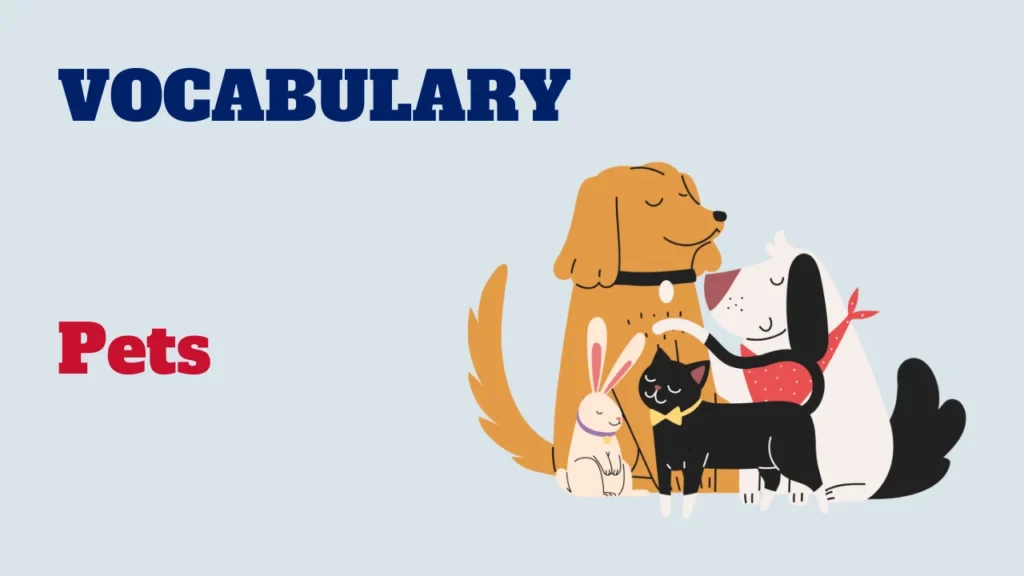 Vocabulary - pets