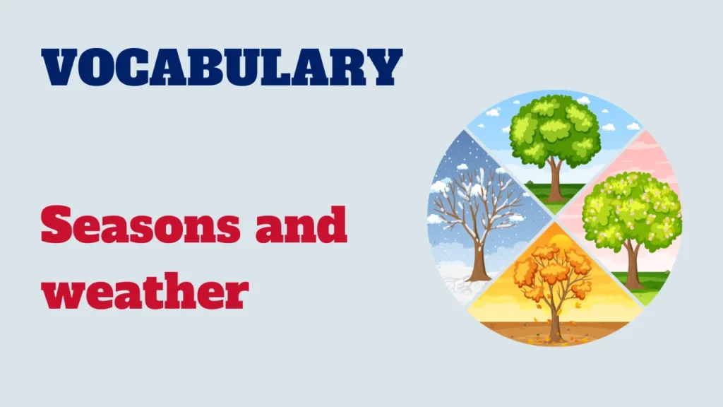 Vocabulary - seasons and weather