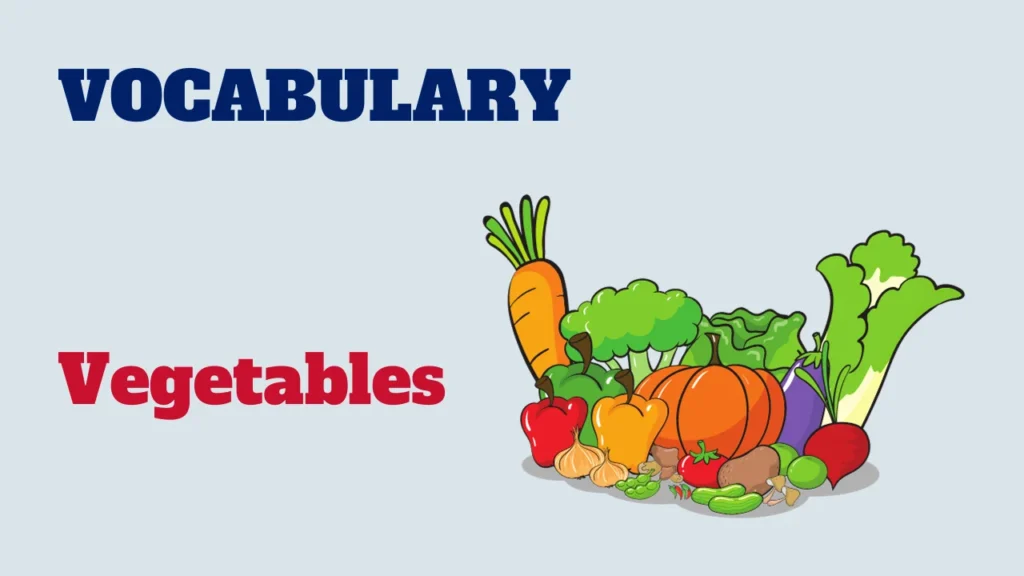 Vocabulary : vegetables