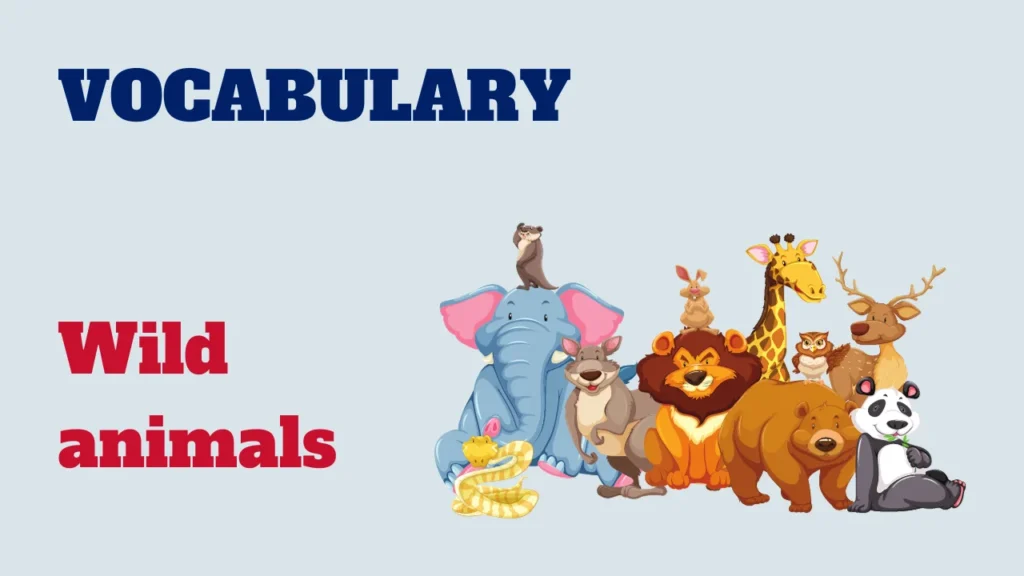 Vocabulary - wild animals