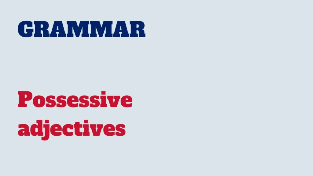 Grammar - possessive adjectives in English