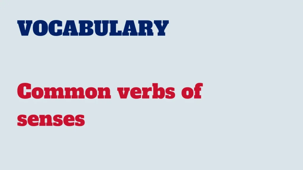 Vocabulary - Common verbs of senses