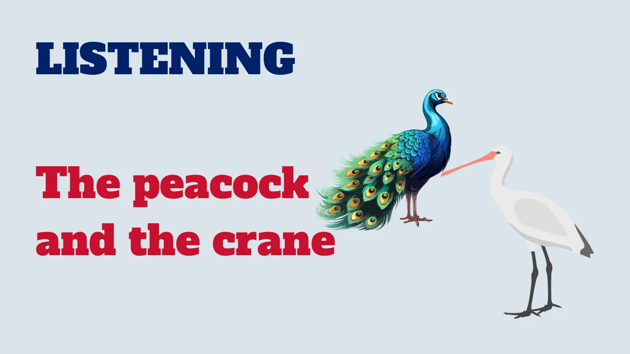 Learn English: Listening - The peacock and the crane